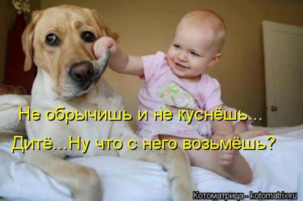 Котоматрицы (картинки с надписями)