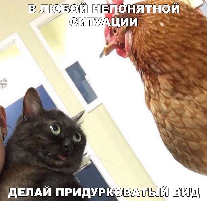 Пора уже задуматься, где провести ночь с 31 декабря на 14 января …))) Пора уже задуматься, где провести ночь с 31 декабря на 14 января …)))