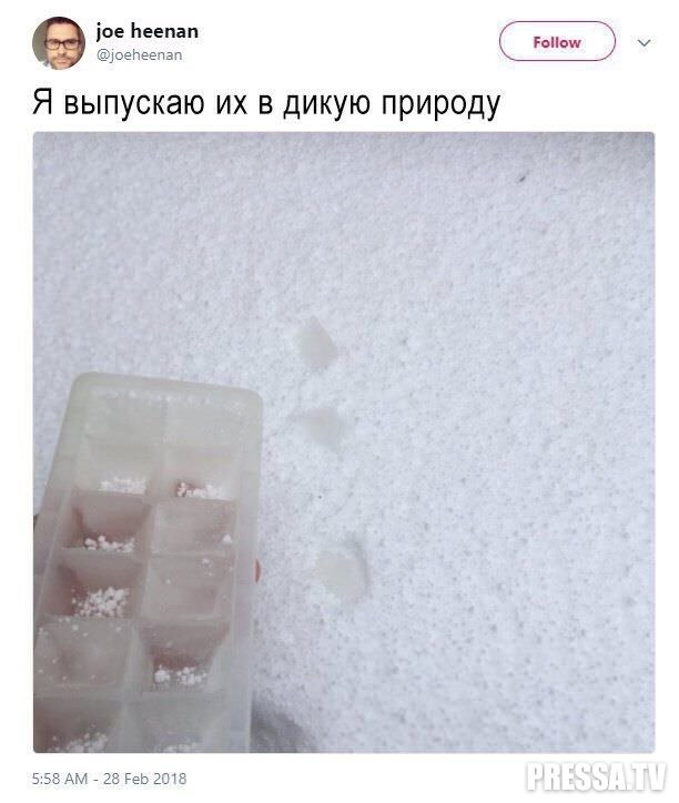Прикольные комментарии из соцсетей Прикольные комментарии из соцсетей