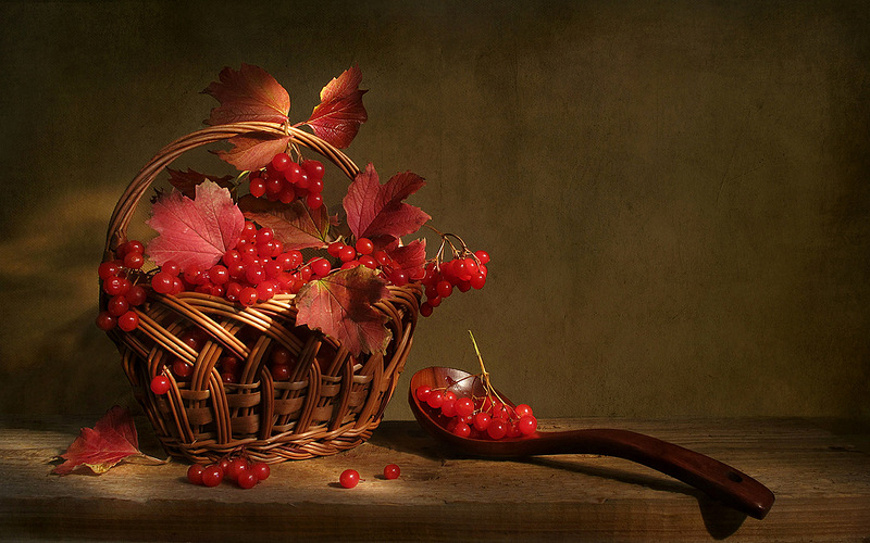 NewPix.ru -  .     
