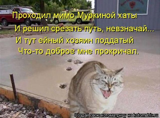Смешные котоматрицы)) Смешные котоматрицы))