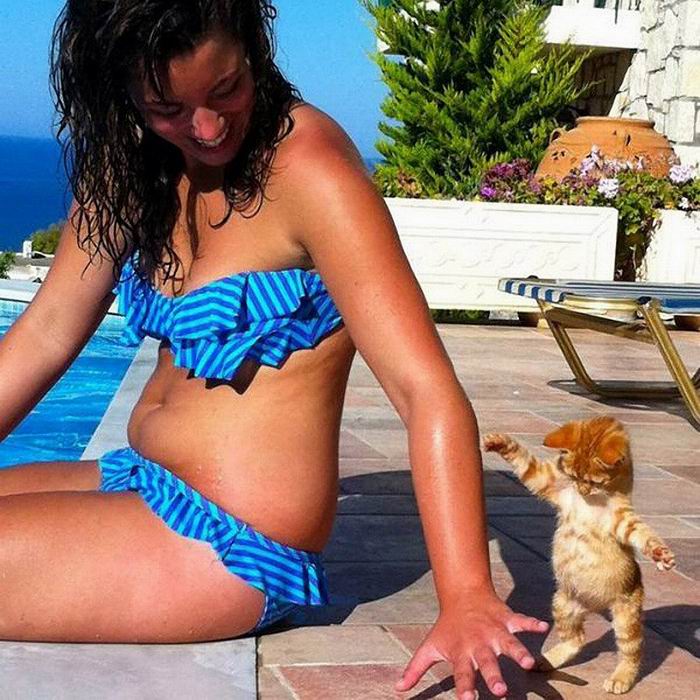 50 фотографий животных, которые вы просто обязаны увидеть 50 фотографий животных, которые вы просто обязаны увидеть