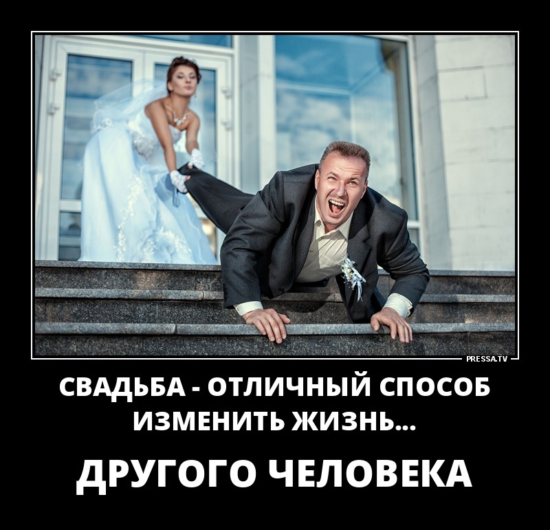 Смешные летние демотиваторы о жизни Смешные летние демотиваторы о жизни