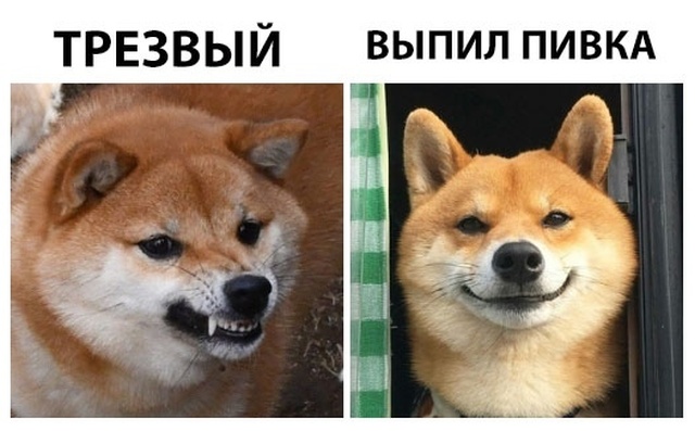 ÐаÑÑинки по запÑоÑÑ ÑоÑо пÑиколÑ