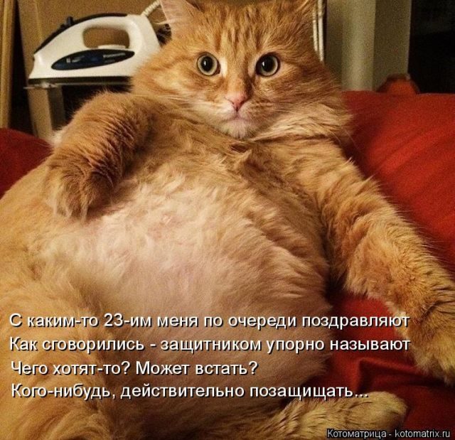 Смешные котоматрицы)) Смешные котоматрицы))