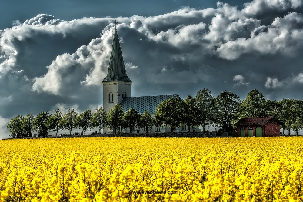 Фотография Rapeseed Redemption автор Eamon Gallagher на 500px