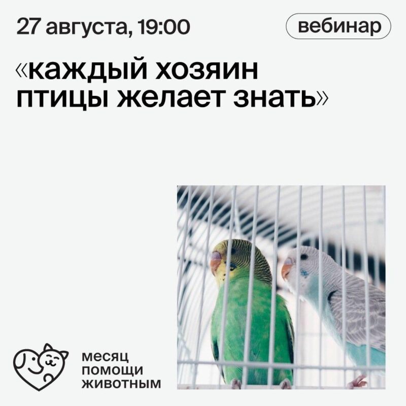 Каждый хозяин птицы желает знать …