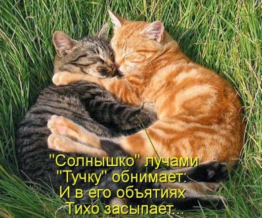 5c7d6dad549f7739c58dd540f49_prev 5c7d6dad549f7739c58dd540f49_prev
