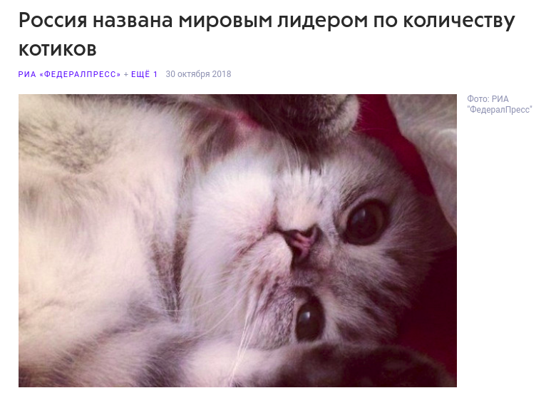 Как-то ведь следует снижать уровень стресса... Больше всего наши нервы ненавидят стресс
(15 фото + 1 гиф)