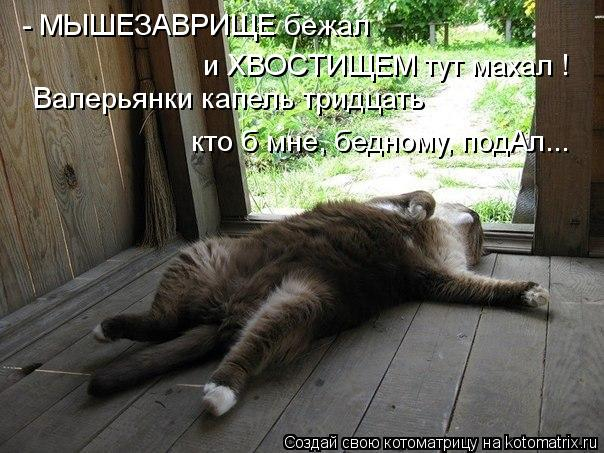1331968995_042 (604x453, 273Kb)