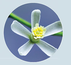 RabochiyMoment-8.jpg RabochiyMoment-8.jpg