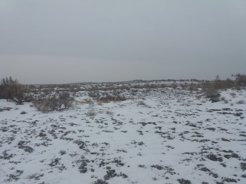 У нас в запасе еще неделя У нас в запасе еще неделя