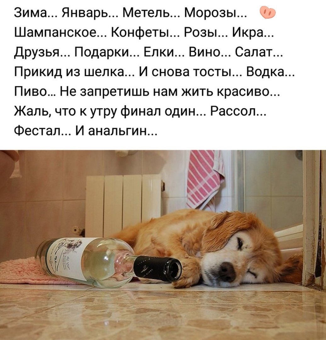 Послe слов - ну ты же леди... Анекдоты 8 января 2019 года. Послe слов - ну ты же леди... Анекдоты 8 января 2019 года.