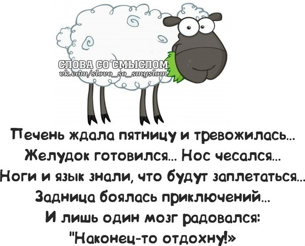 Прикольные фразочки в картинках