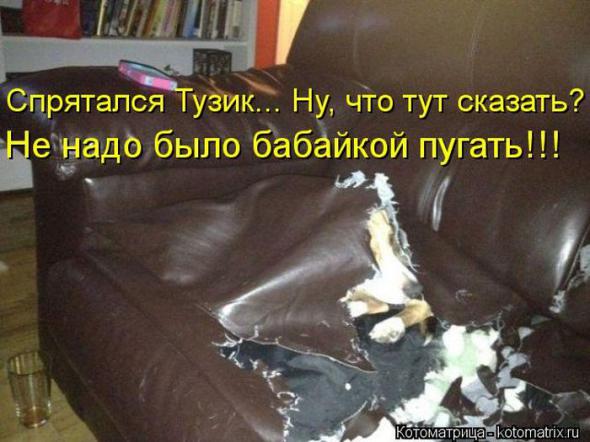 �����������(�������� � ���������)