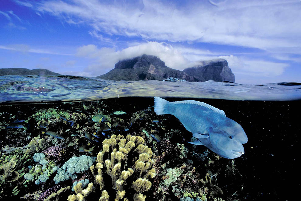 Фотоработы Дэвида Дубиле 2439 Фотоработы Дэвида Дубиле