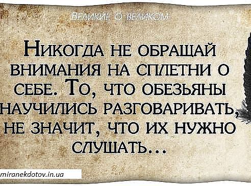 Что делать если тебя не взлюбили в