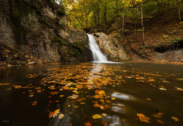Осень в Крыму и Карпатах (103 фото)