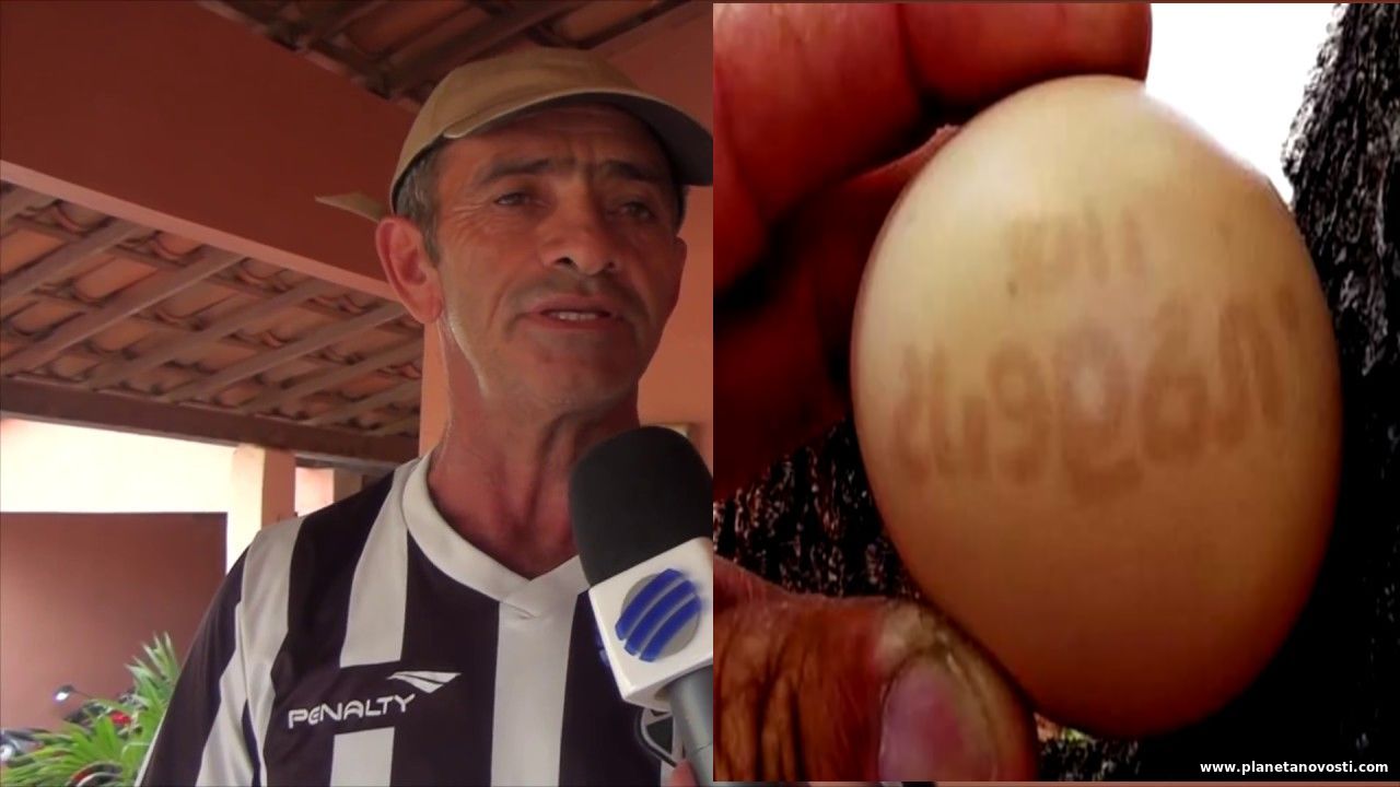 В Бразилии курица снесла яйцо с цифрами и символами