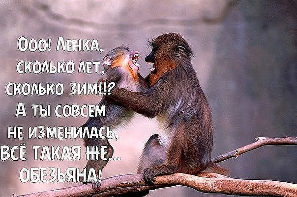 - Девочки, а кто-нибудь встречался с мужчиной старшего возраста?.. - Девочки, а кто-нибудь встречался с мужчиной старшего возраста?..