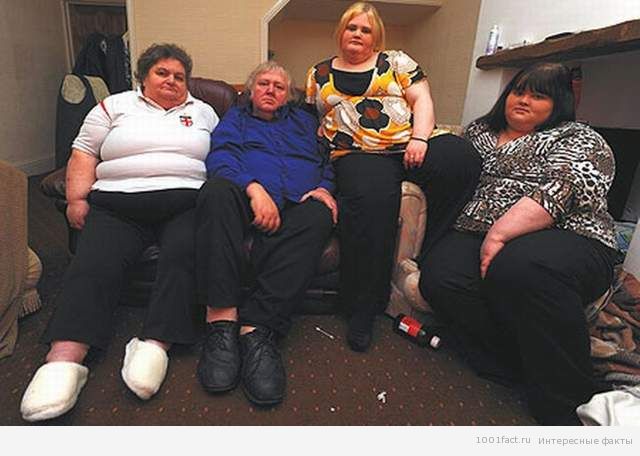 семья Чаунер