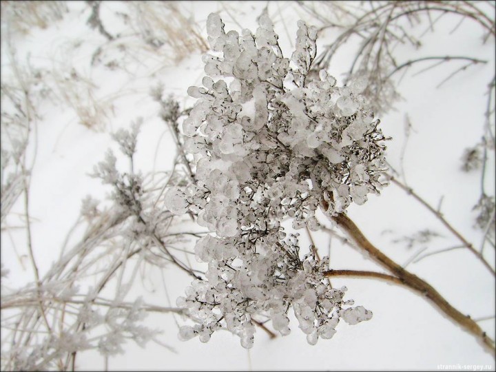 Редкое явление природы - после ледяного дождя