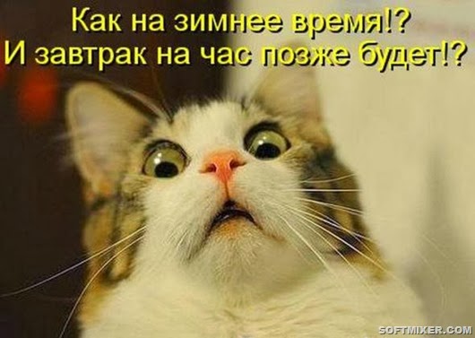 d00e3d964dcc7d4e8385b5d7f6a_prev