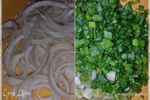 Можно репчатый и кубиком покрошить, но я предпочитаю колечками. И тоненько. Не знаю, но мне так нравится больше. А зеленый особенно мельчить не стоит, в общем, средненько так, но все же с уклоном к мелкой фракции. Можно репчатый и кубиком покрошить, но я предпочитаю колечками. И тоненько. Не знаю, но мне так нравится больше. А зеленый особенно мельчить не стоит, в общем, средненько так, но все же с уклоном к мелкой фракции.