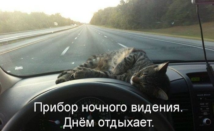 Поднимаем настроение! Из семейной жизни... Поднимаем настроение! Из семейной жизни...
