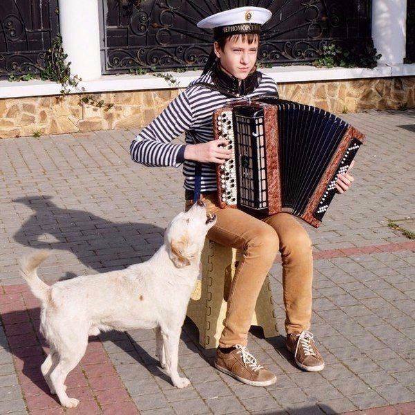 Прикольные картинки и смешные фото приколы (12 фото) Прикольные картинки и смешные фото приколы (12 фото)
