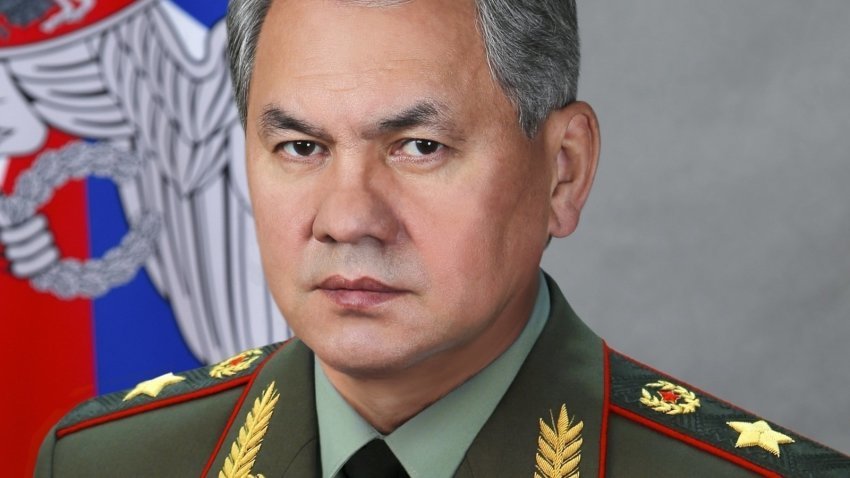 Шойгу рассказал, сколько военнослужащих уже проголосовала за поправки в Конституцию РФ