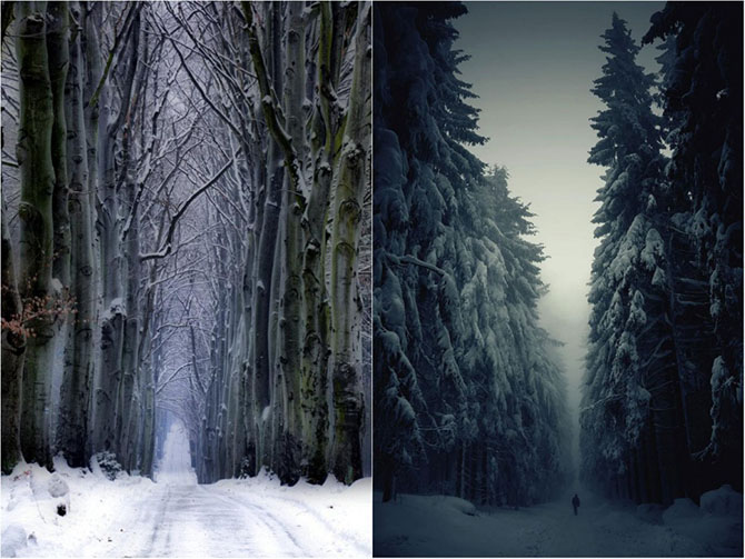 ���� � �����