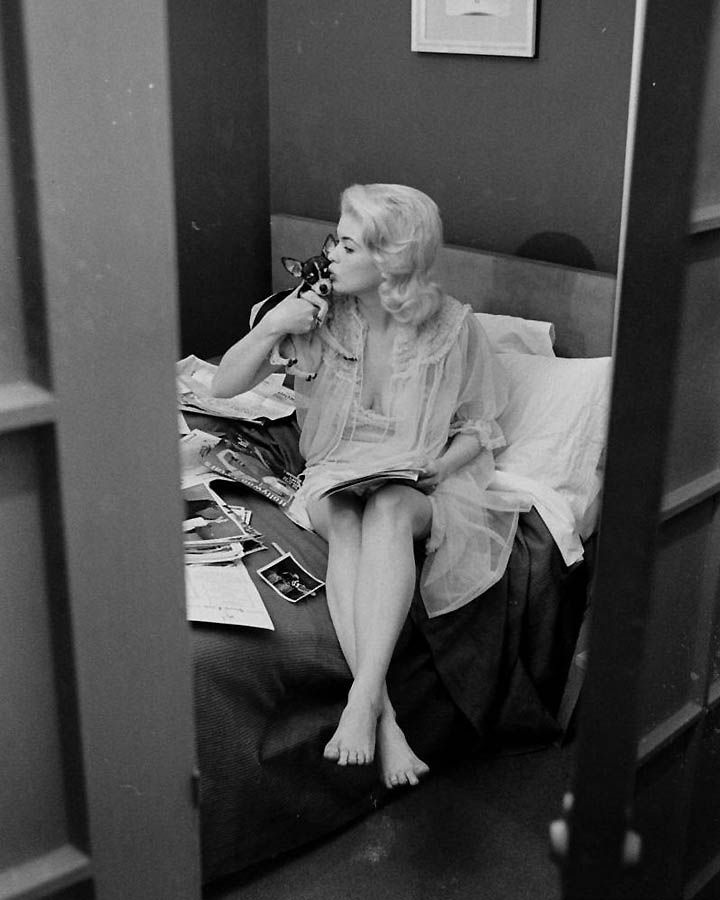 Актрисы Голливуда. Джейн Мэнсфилд(Jayne Mansfield).Костюмы 1950-х. 5110 Иконы Голливуда: Джейн Мэнсфилд