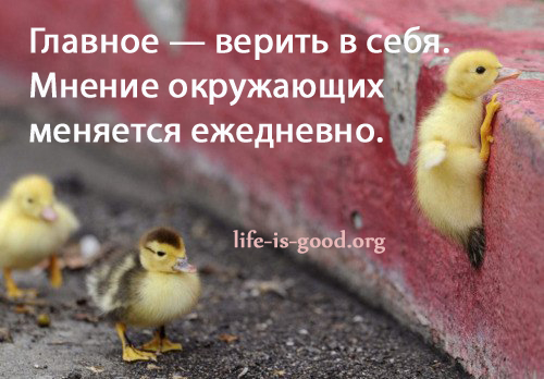 15 острых и умных высказыван…