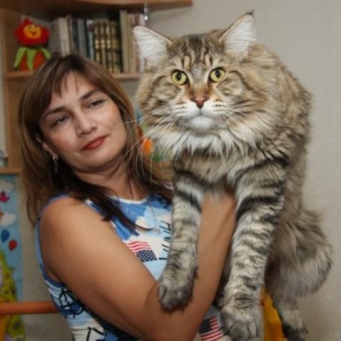 Самая длинная кошка в мире изображения Самая длинная кошка в мире изоражения
