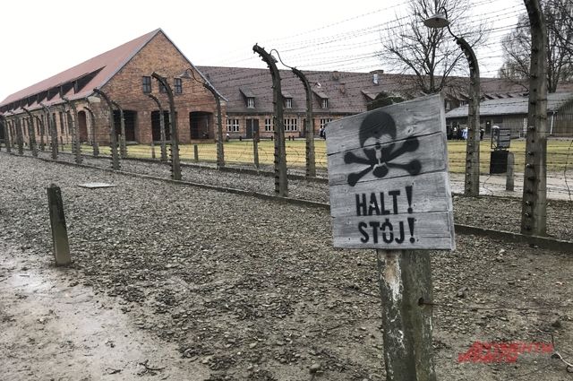 «Освенцим освободили американцы». Кто и почему перевирает историю?