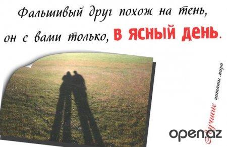 "  " (46   )