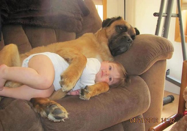 Настоящие друзья