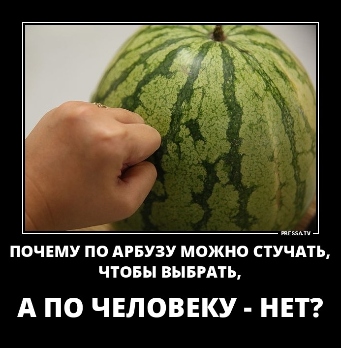 ДЕМОТИВАТОРЫ + ДЕМОТИВАТОРЫ +