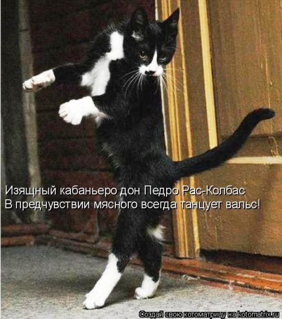 Самые смешные котоматрицы для хорошего настроения) Самые смешные котоматрицы для хорошего настроения)