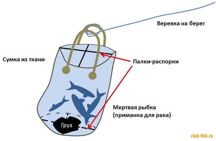 время года для ловли раков время года для ловли раков