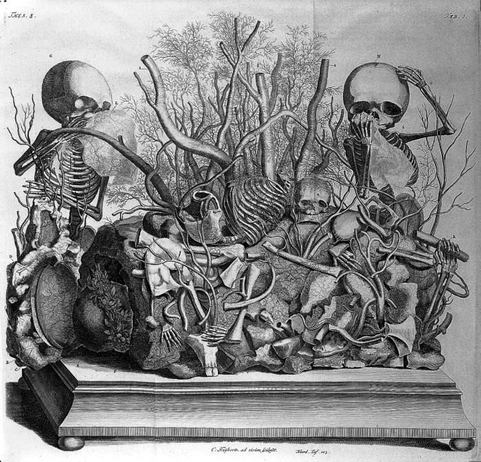 Гравюра из книги Opera omnia anatomico-medic Фредерика Рюйша, 1727 год. | Фото: wellcomeimages.org. Гравюра из книги Opera omnia anatomico-medic Фредерика Рюйша, 1727 год. | Фото: wellcomeimages.org.