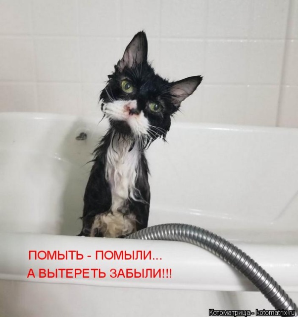 Лучшие котоматрицы недели Лучшие котоматрицы недели