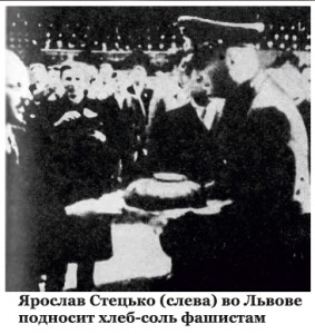 стецько стецько