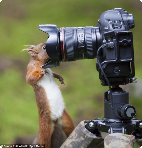 С Днем ФОТОГРАФА!!!