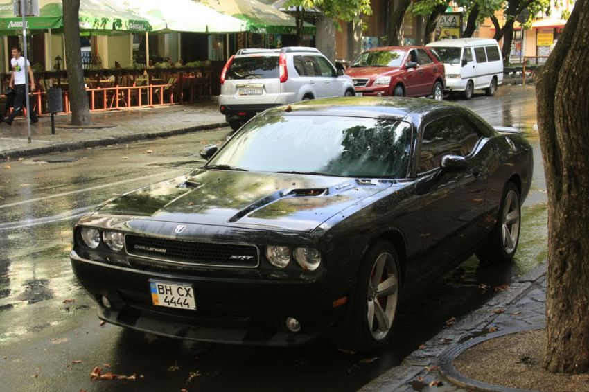 девушки, фото