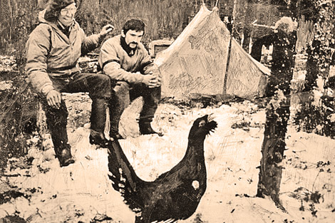 Василий Песков. Жизнь с птицами