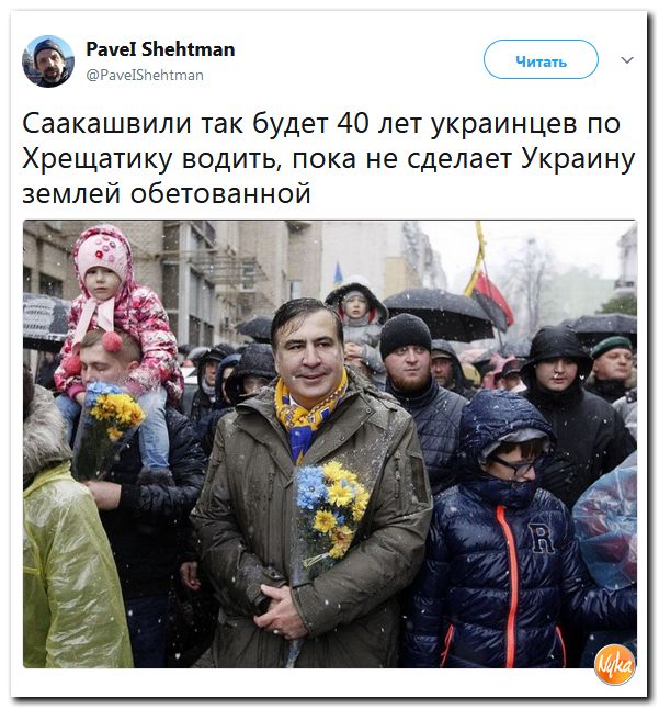 50.jpg