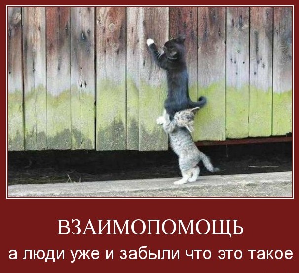 ТАК КТО ЖЕ ТАКИЕ – УЧАСТНИКИ «МММ-2011» ?! ТАК КТО ЖЕ ТАКИЕ – УЧАСТНИКИ «МММ-2011» ?!
