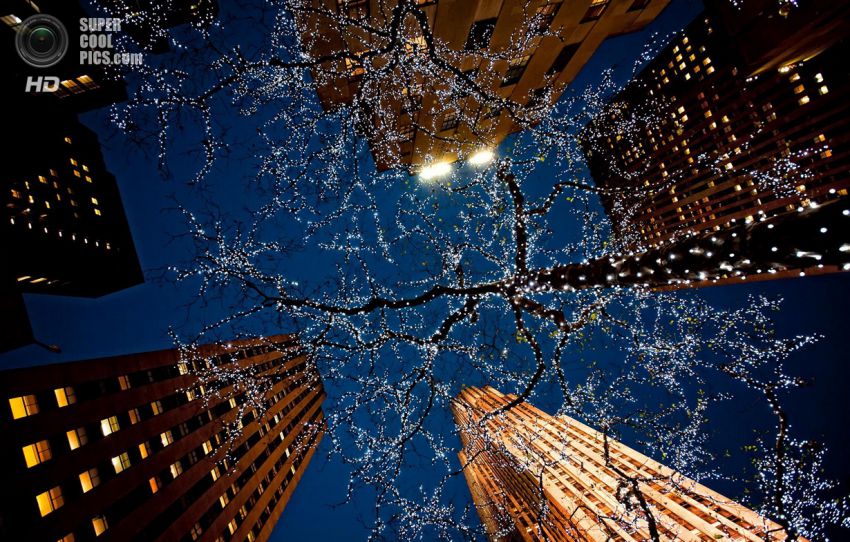 Праздник, Фото, Красиво